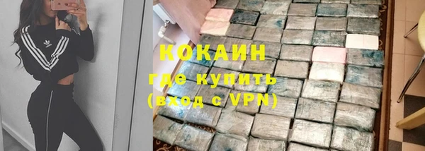 mdpv Бородино