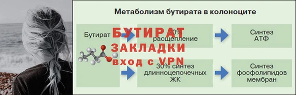 mdpv Бородино